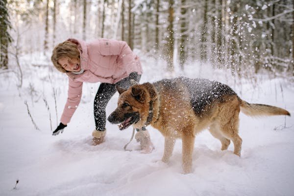 German-Shepherd-Owner